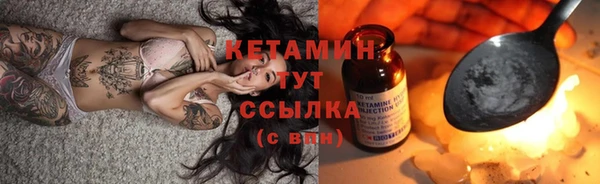 крисы Новокубанск