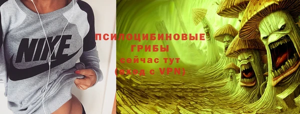 крисы Новокубанск