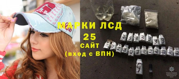 твердый Новодвинск