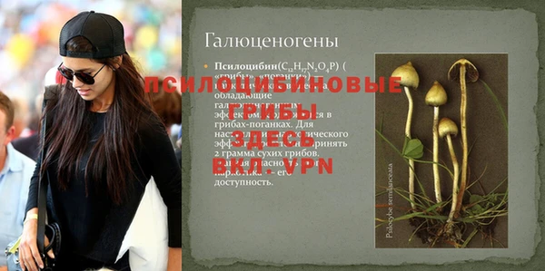 apvp Алзамай