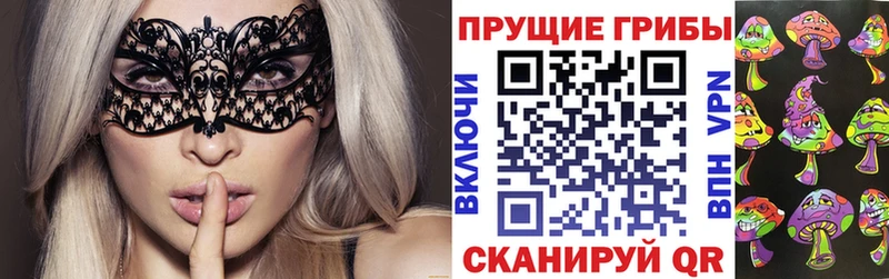 закладка  KRAKEN вход  Галлюциногенные грибы мицелий  Томари 